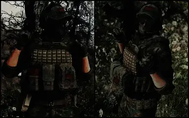 《辐射4》PMC特遣队员包MOD游戏截图2