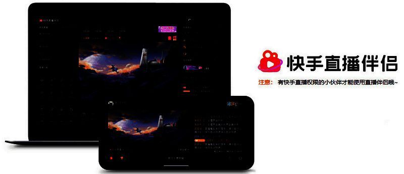 快手直播伴侣展示图