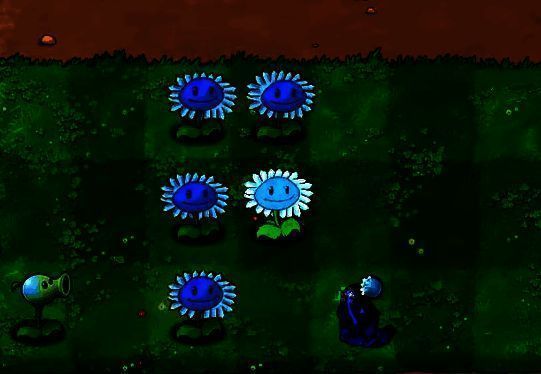 种植向日葵示意图