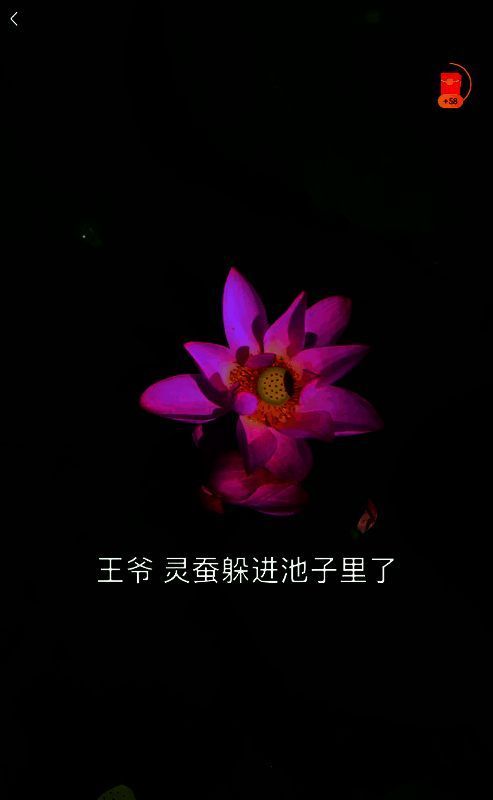 红豆短剧播放操作示例图