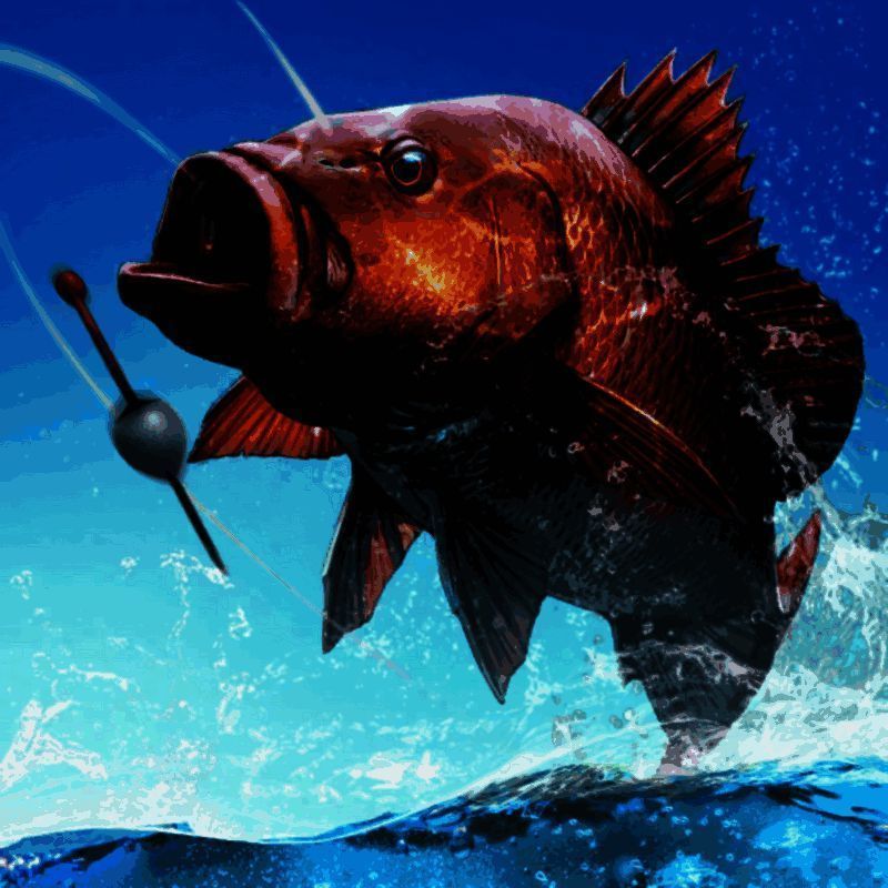 狂野钓鱼2 V1.0.8