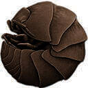 keka for mac版 v1.4.7官方版