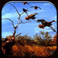 真实野鸭狩猎 V0.8.1