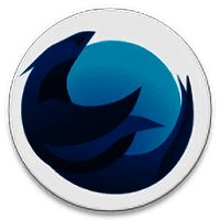 Iceraven浏览器 2025最新版 V1.6.0