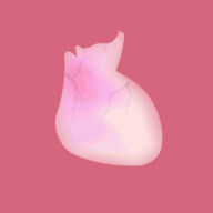 生命LIFE 2025正版 V1.0