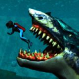 鲸鲨攻击模拟器 V1.2