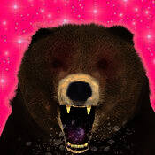 家有大灰熊 V1.1.11