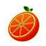 桔子桌面最新版