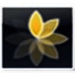 Express Animatev5.24