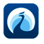 碧桂园园宝v1.0.11