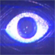 波比的游戏时间第五章 汉化版 V0.3.0