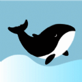 鲸心 V1.12.0