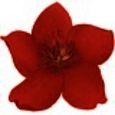 小红花直播音效助手免费版