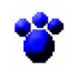 打字高手免费版