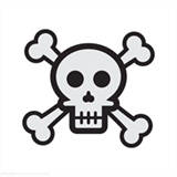 骷髅头直装 免卡密免root官方版 V1.0