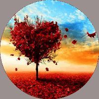 爱枫英语学习 最新版 V1.0