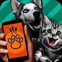 动物语言翻译器 在线翻译 V2.3.5