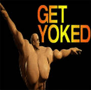 健身模拟器 官方正版 V1.1.1