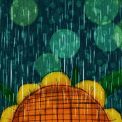 再见太阳雨 V1.1.6