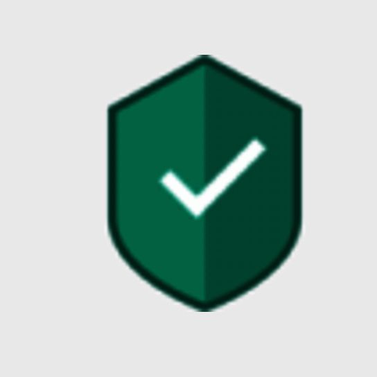 卡巴斯基反病毒软件 KAV