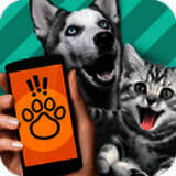 动物语言翻译器 在线用免费 V2.3.4