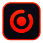 《动物园之星》新物种灰树袋鼠MOD