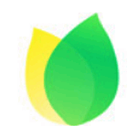 飞火动态壁纸v2.2.2.1