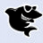 黑鲨装机大师旧版本