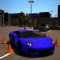 驾校学车模拟器 手机版 V1.1