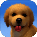 梦幻小狗 V1.0.4