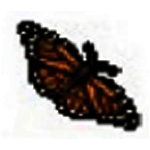 蝴蝶网记事本v1.2