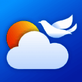 白鸽天气 安卓客户端 V1.0.2
