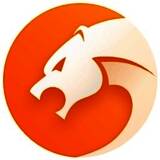 猎豹安全浏览器8.0.0.22226