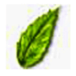 猫窝图片格式转换器 v1.0