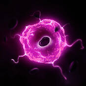 肿瘤医生 中文版 V1.6.4