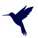 蓝鸟抓包 普通版 V3.3.6