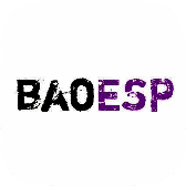 baoESP 2.2.7无需卡密 V2.2.7