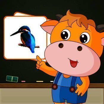 百科 飞鸟海洋版 V2.1