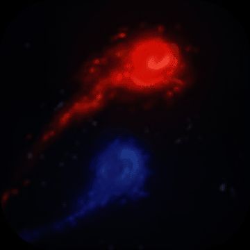 冰与火之舞 试玩版 V1.12.0