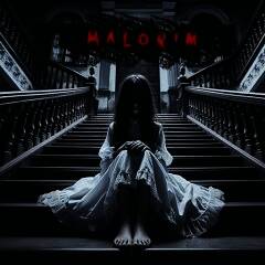 马洛林 安卓版 V1.0